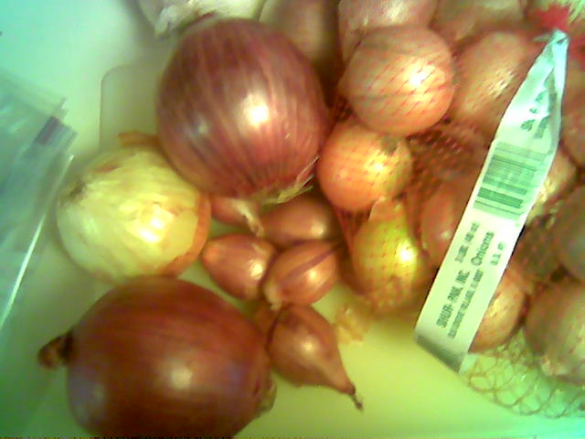 [onions2.JPG]