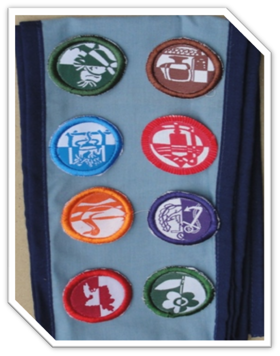 Bd Scout Id Card