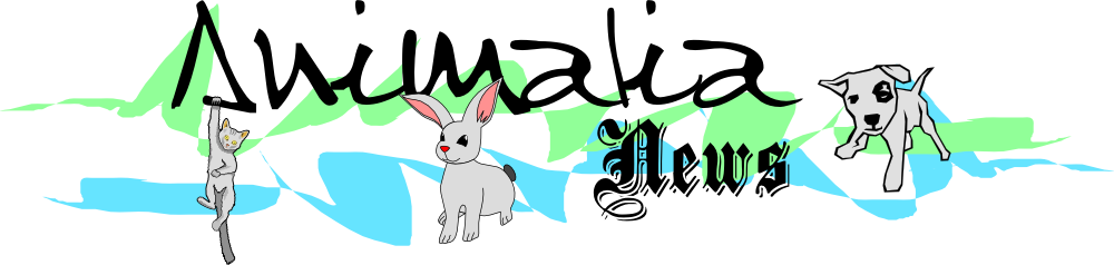 Animalia News
