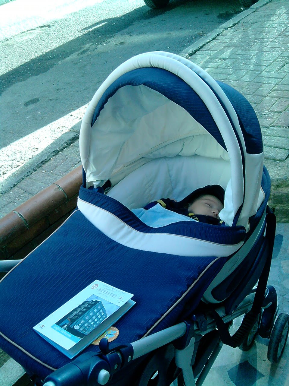 Bahar Karları Ekim 2010