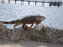 Key Largo