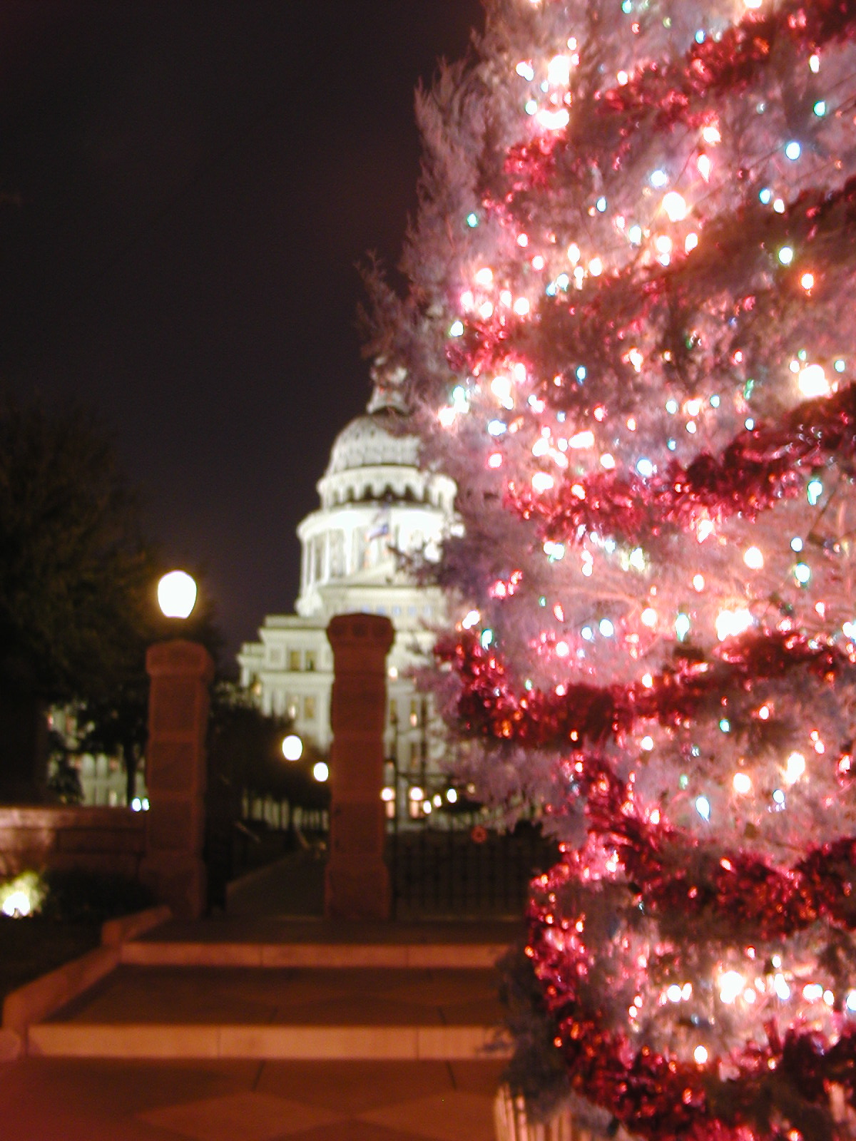 texas christmas tree texas christmas music texas christmas tree texas christmas music