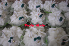 CISNES DECORADOS COM FLORZINHAS VERDES!!