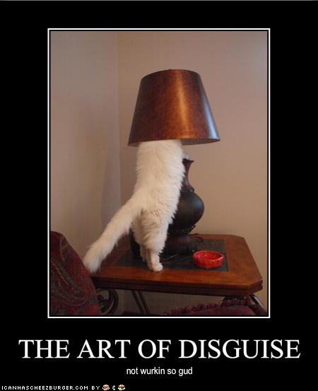 funny-pictures-your-cat-has-a-bad-disguise.jpg