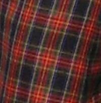[plaid.jpg]
