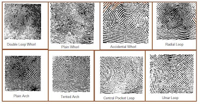 fingerprint patterns