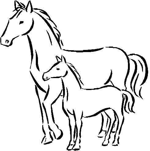 Printable Coloring Pages on Horse Animal Free Printable Coloring Pages