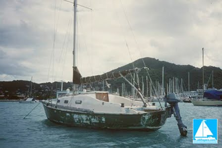 Download Robbie Graham Pics