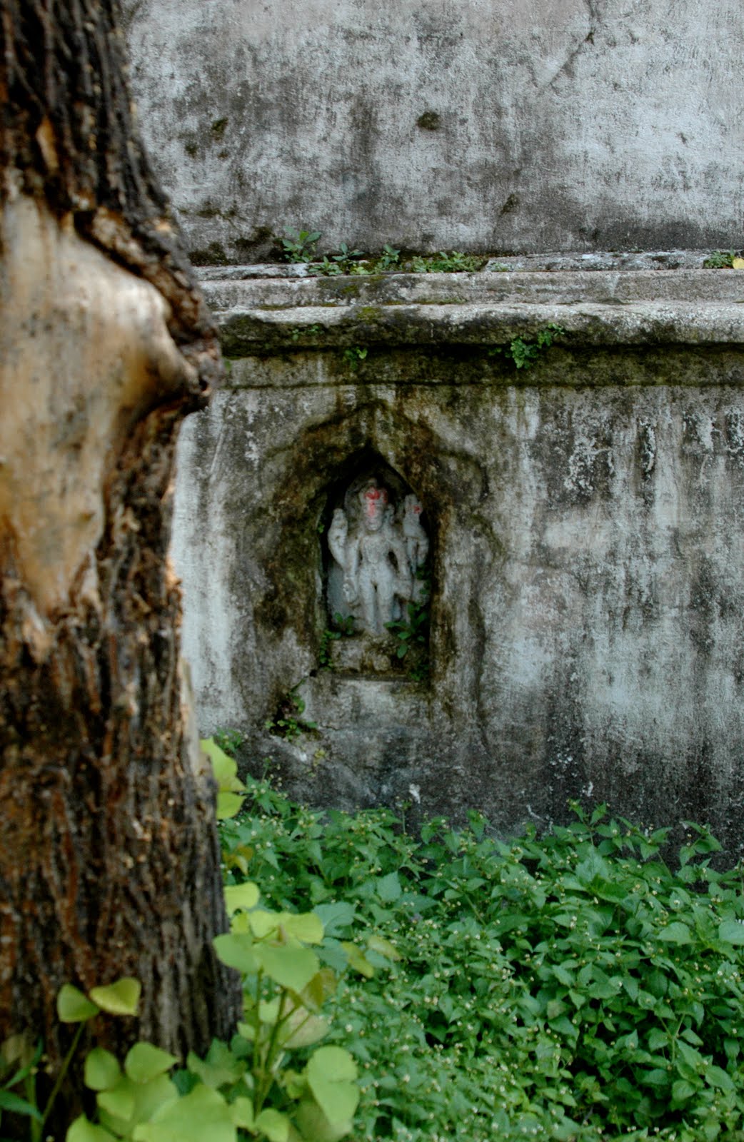 [DSC_2151.JPG]