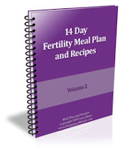 14 DAYS FERTILITY MEAL PLAN