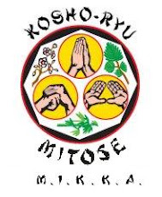 Kosho-Shorei Ryu Kenpo