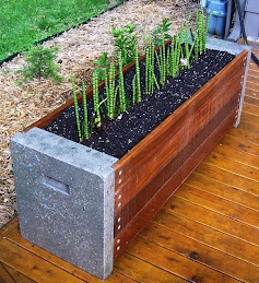 Concrete Planter