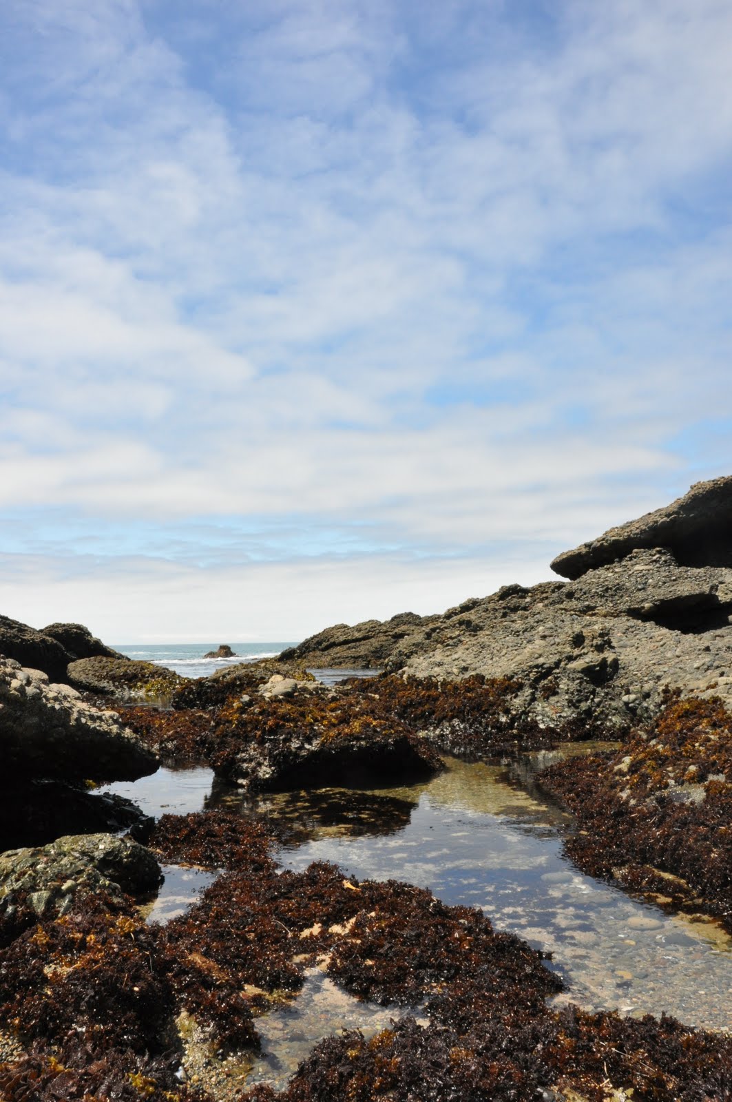 [DSC_0050.JPG]