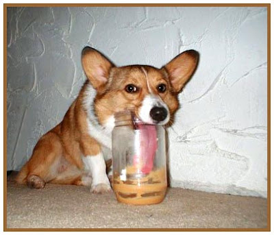 Content in a Cottage: Dog with tongue in peanut butter jar . . .