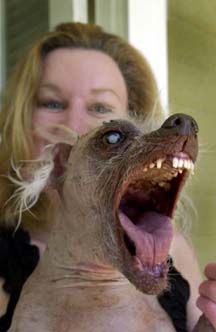 [samugliestdog_ilx1wh3rd1net.jpg]