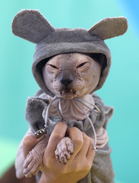 [SphynxinCostume_activate!us.jpg]