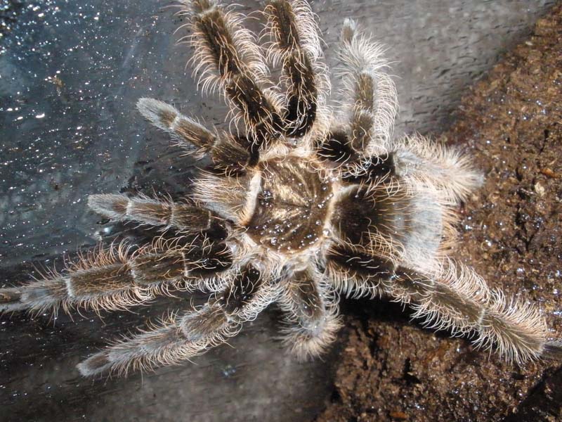 [2008-08-26_1_1.jpg]