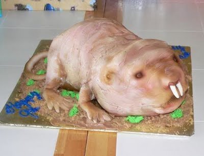 [Mole+Rate+Cake+1.jpg]