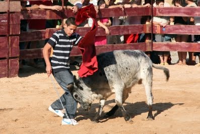 [IMG_3786.JPG]