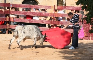 [IMG_3757.JPG]