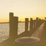 View From Staten Island Pier