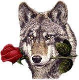 El Lobo Enamorado