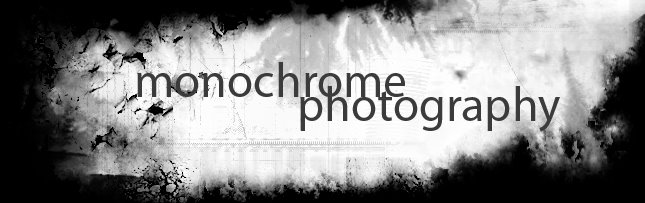 monochrome.photography.