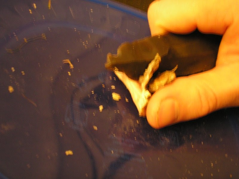 Toe Bone Fishing Hook