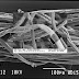L’invasione delle nano-particelle (articolo di Maria Paola Gianni)