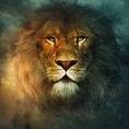 Leão da Tribo de Judá