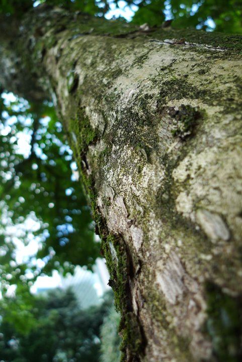 [341_Jeremy_Ming.JPG]