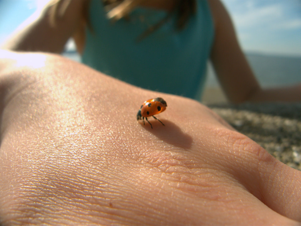 [243_Jean_DeVour.jpeg]