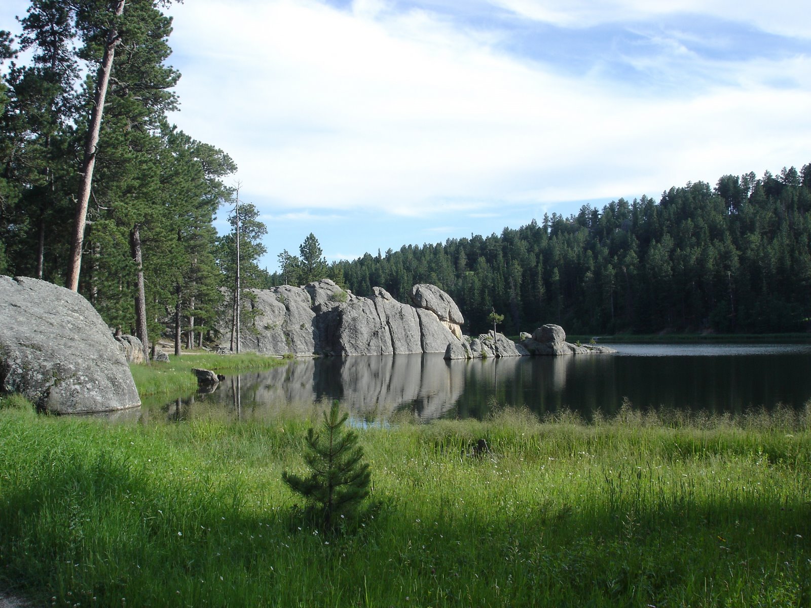 [DSC02371.JPG]