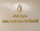 LABORATORIO MARK HUGHES