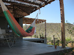 The hammocks