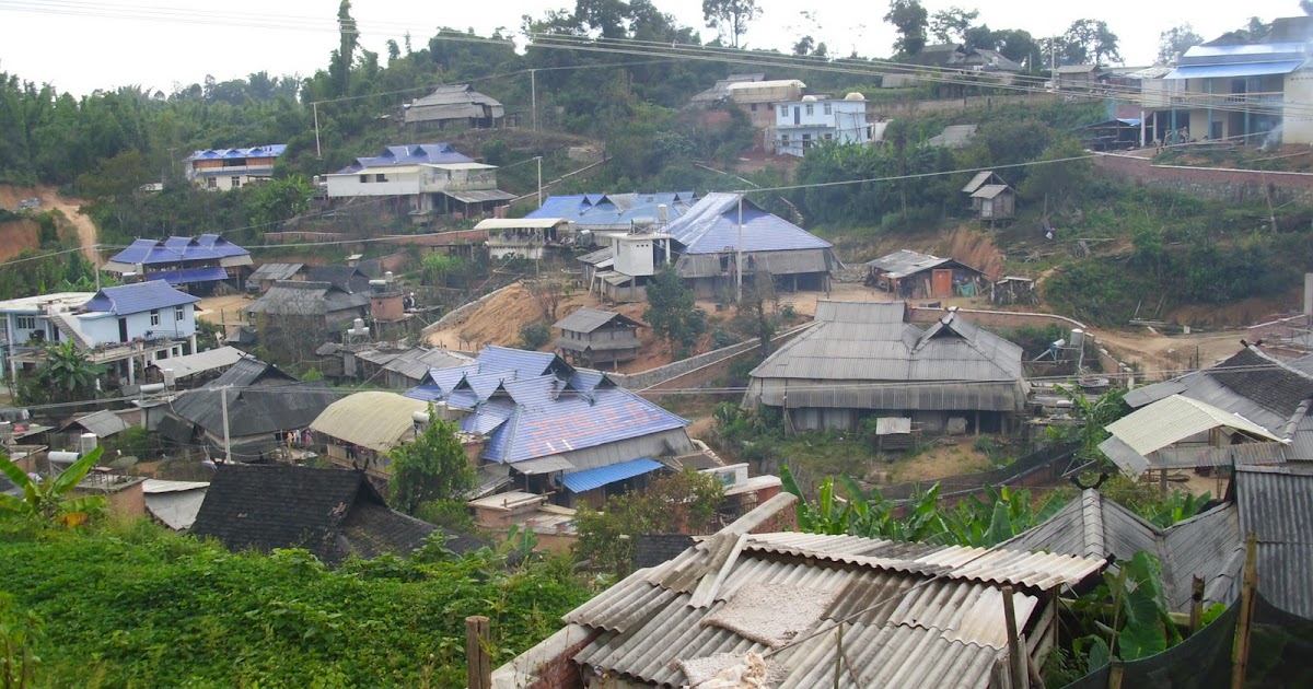 Bannablog Lao Ban Zhang