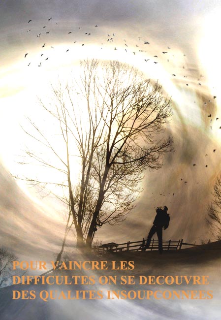 [ARBRE+SOLITAIRE-ENCOURAGEMENT.jpg]
