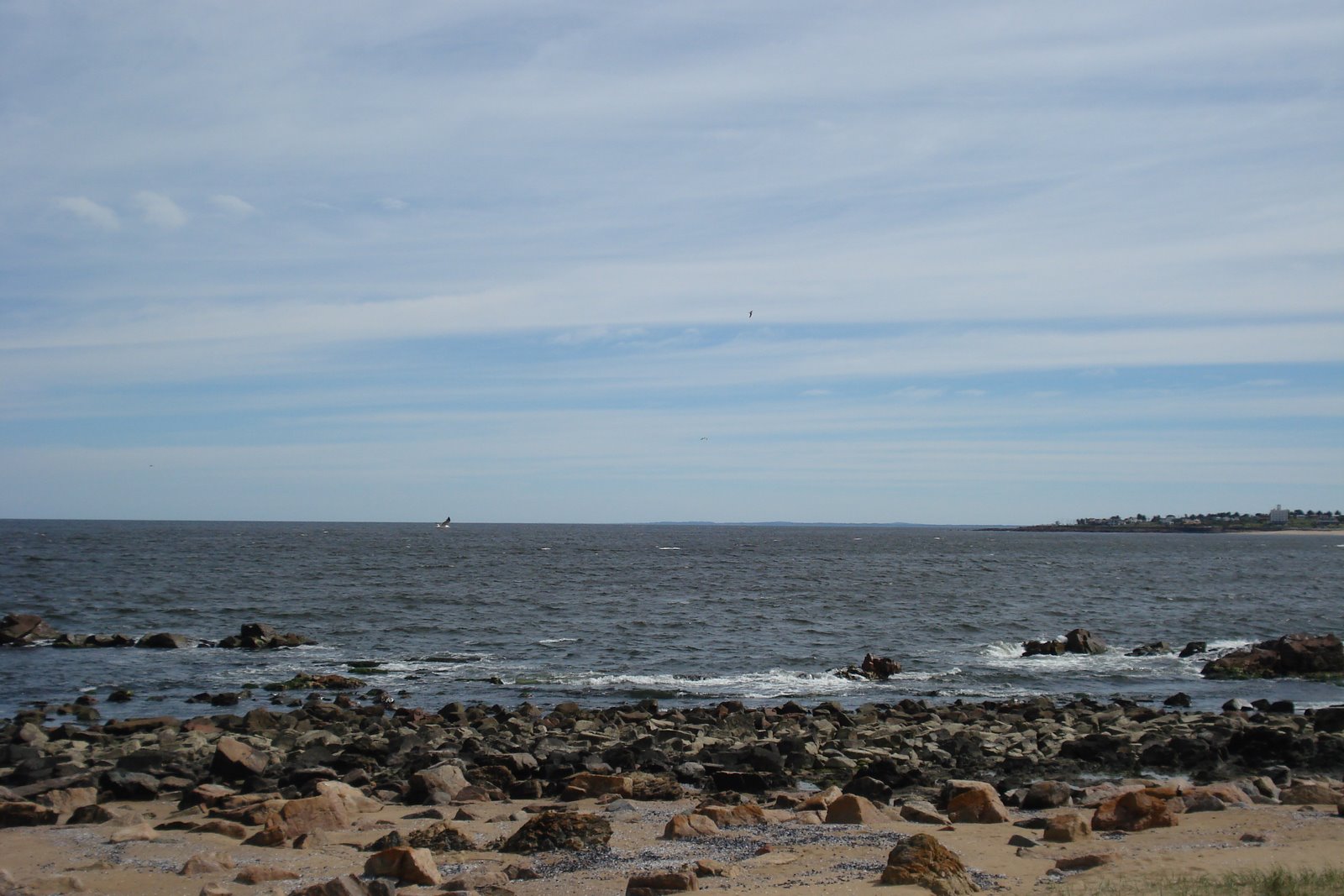 [DSC03104.JPG]