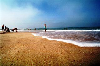 [Praia+2009.jpg]