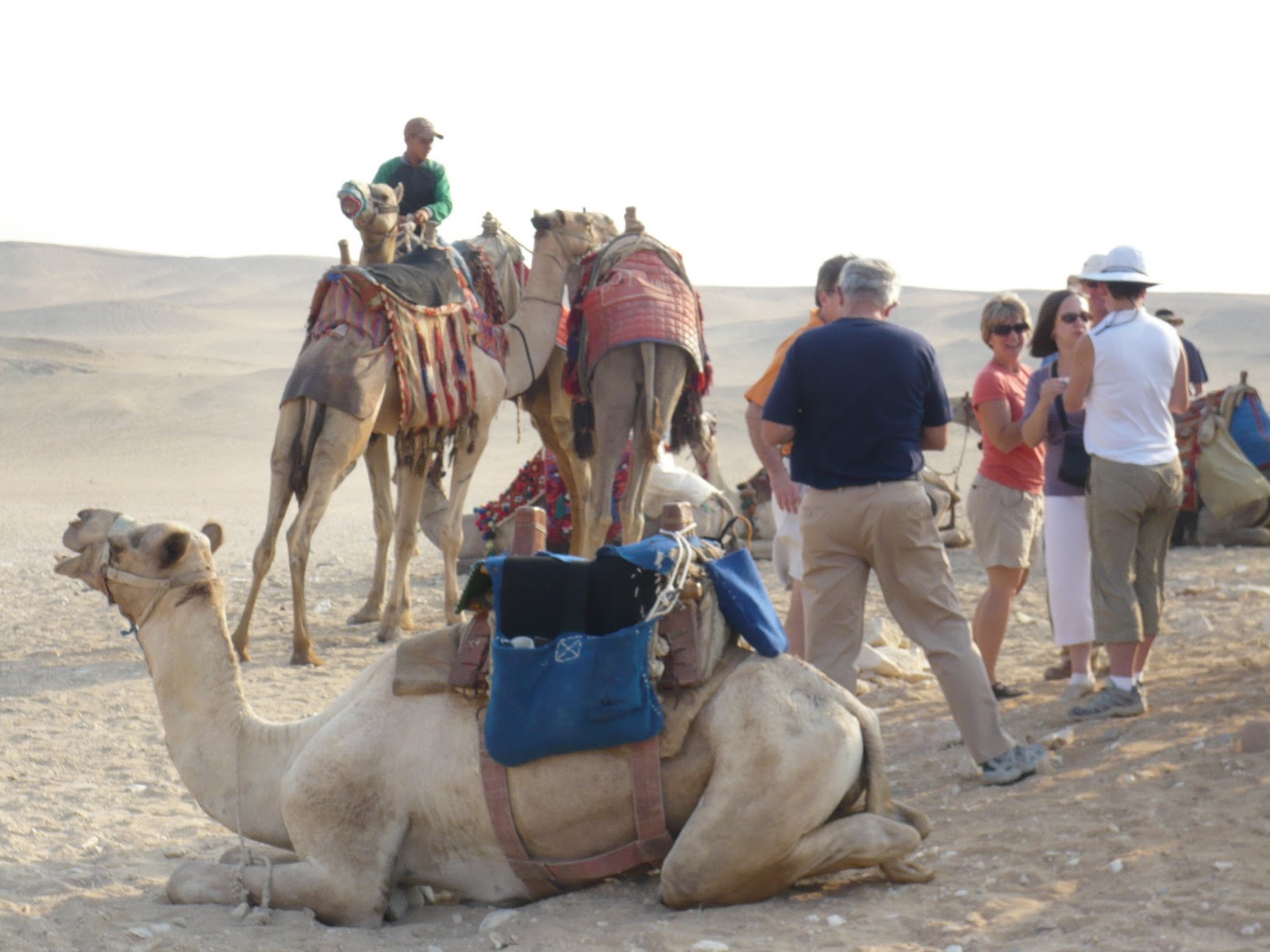 ひとりごと ひとこぶらくだの乗り方