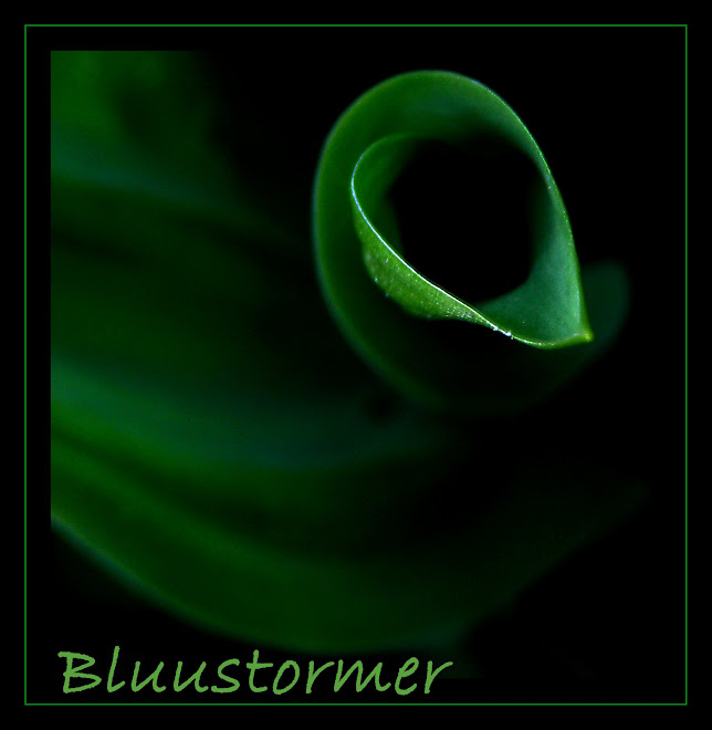 BluuStormer
