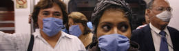 [SWINE-FLU-medium260]