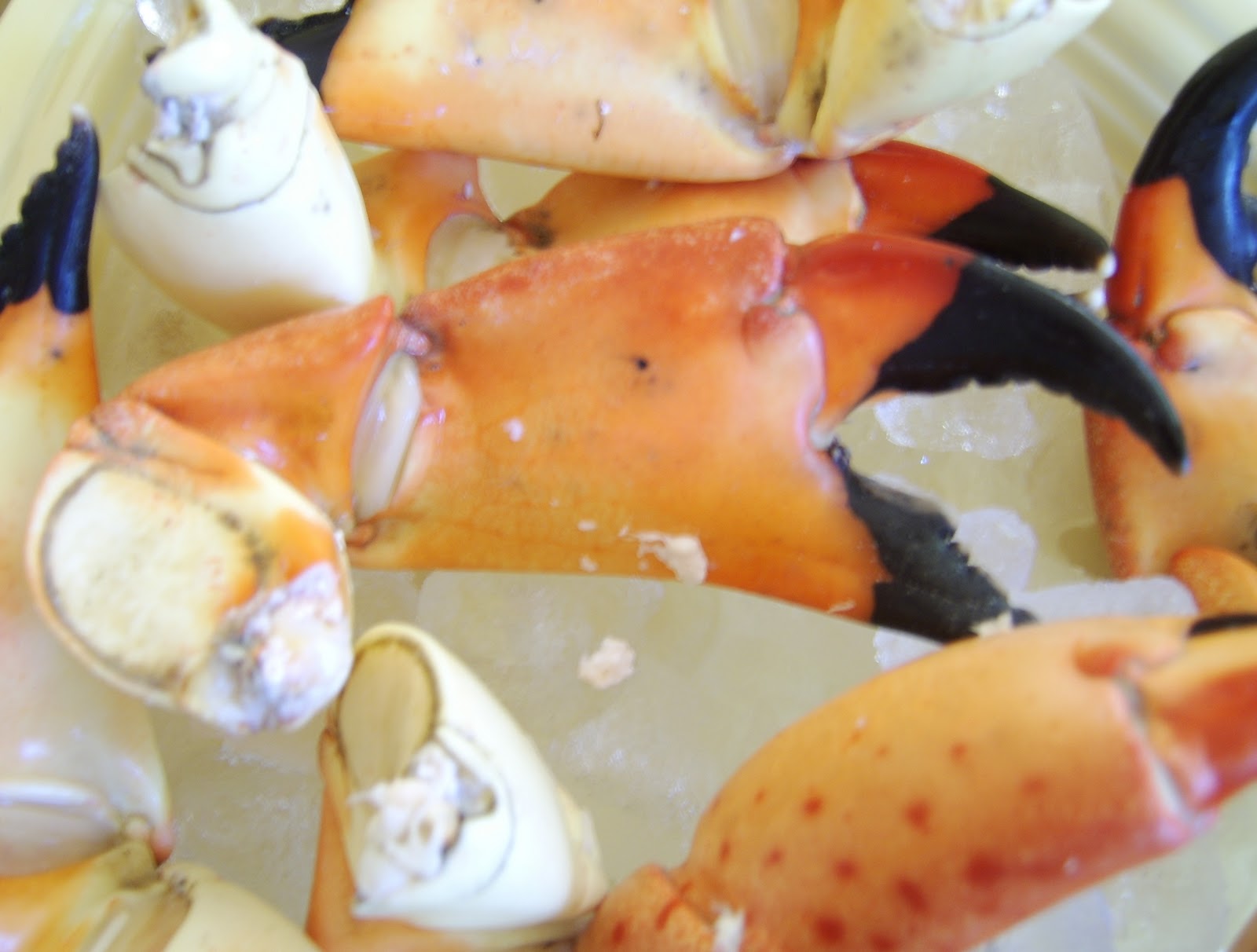 crab knuckles