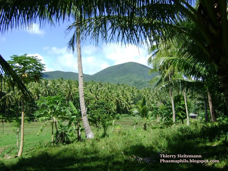 PhasmaPhils Pictures of Sites 13