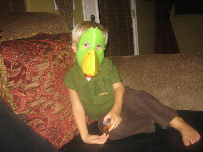 Thanks for the cool book Grandma Asay Kolton loves the farm animal masks!  Ha Ha.