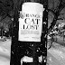 Lost Cat