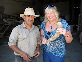 Primer Viñedo Biodinámico de Mendoza, Argentina