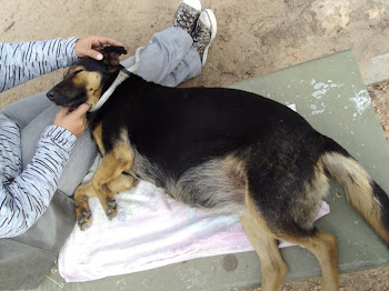 CANDELA CUANDO FUE ENCONTRADA