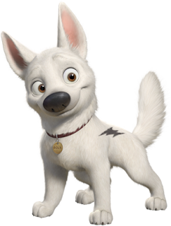 Bolt
