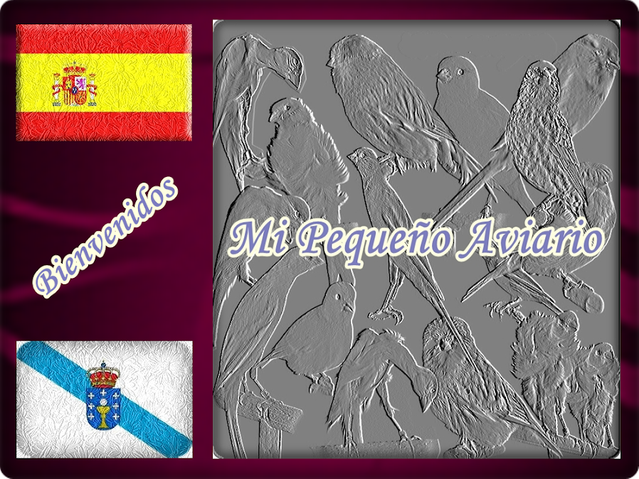MI PEQUEÑO AVIARIO